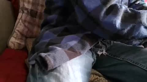 kindahorny online show from 04.07.26