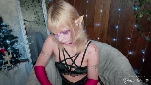 Snapshot of your_gothic_elf chatting on 12.26.24 Stella online show from 12.26.24