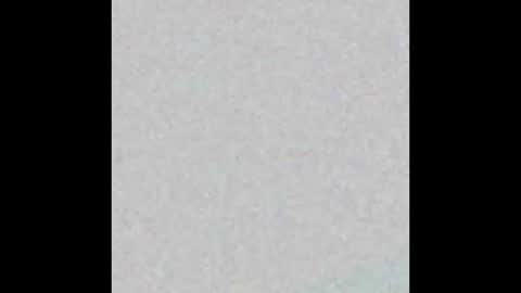 Pearl online show from 02.18.26