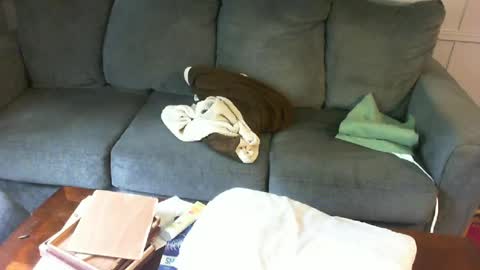 Snapshot of yourpoppi55 chatting on 07.13.26 yourpoppi55 online show from 07.13.26