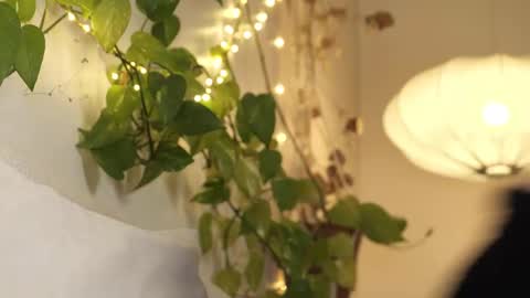 yulla dao online show from 02.28.25