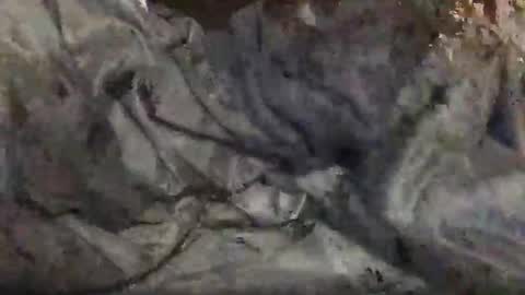 Snapshot of yungin470 chatting on 02.25.26 yungin470 online show from 02.25.26