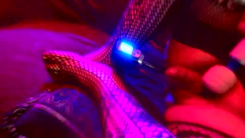 Z0RL0C online show from 10.04.25