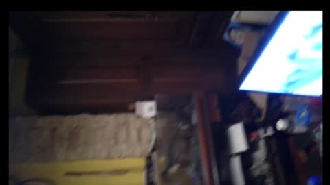 pollasucia13 online show from 12.26.24