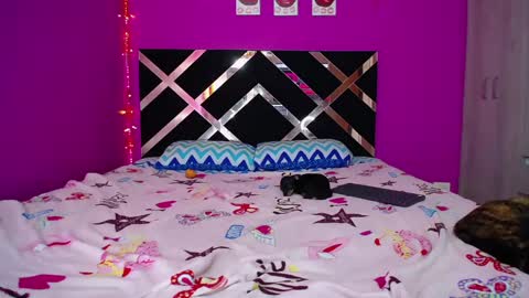 ZARA ANYELINA online show from 02.24.25