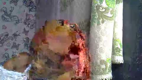 zarinamarlin online show from 03.18.26