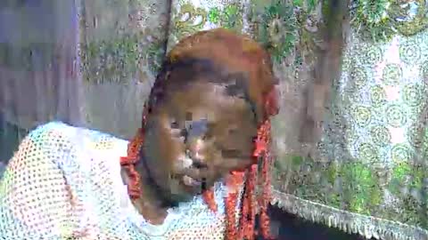 zarinamarlin online show from 03.28.26