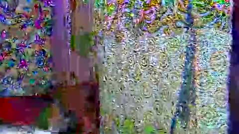 zarinamarlin online show from 04.09.26