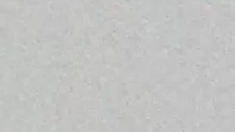 zebulon13210721402 online show from 04.28.26