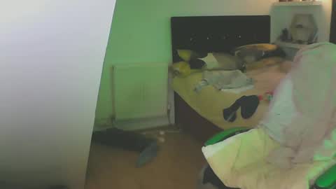 Zed online show from 12.13.24