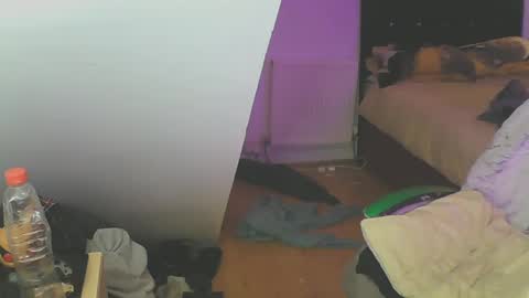 Zed online show from 12.19.24