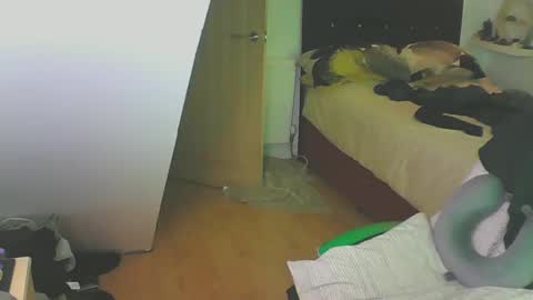 Zed online show from 12.28.24