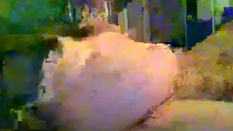 zero0zero123 online show from 09.27.25