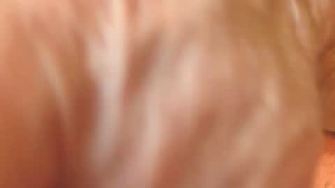 zevioo77 online show from 11.18.25