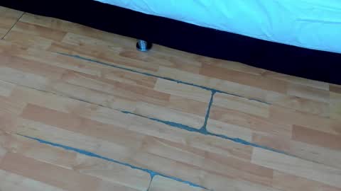 zia online show from 02.21.25