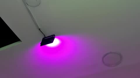 zia online show from 10.06.25