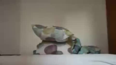 Snapshot of zkopa1234 chatting on 06.18.26 zkopa1234 online show from 06.18.26