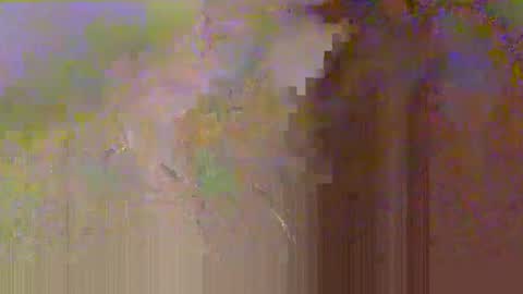 Snapshot of zobrythickock chatting on 10.29.25 zobrythickock online show from 10.29.25