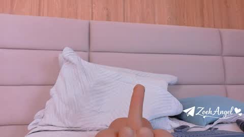 Snapshot of zoehangel chatting on 05.29.26 Zoe online show from 05.29.26
