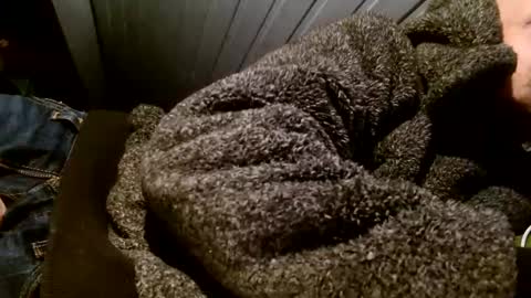 zolexthomas online show from 02.01.25