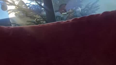 Velesk online show from 12.08.24