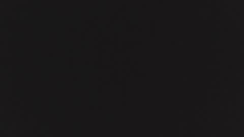 ZURY   online show from 10.24.25