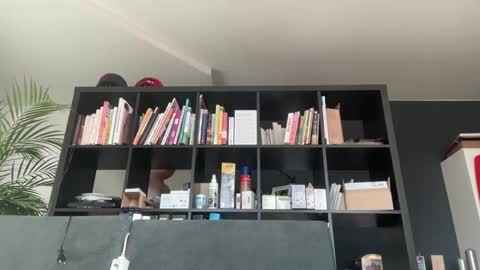 zwickauer1969 online show from 02.27.25