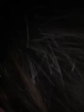 Serena-AU online show from 01.15.26