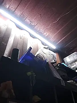 rajstrip12650 online show from 12.18.25