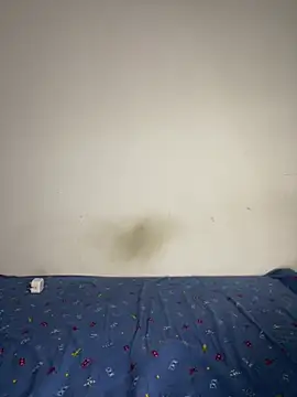 BandySL online show from 12.13.24