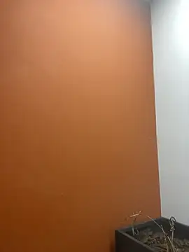 YesTheSexiest online show from 11.11.25