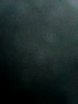 Snapshot of AlSvezia chatting on 12.04.24 AlSvezia online show from 12.04.24