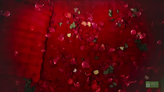 abbyhall  online show from 02.14.26