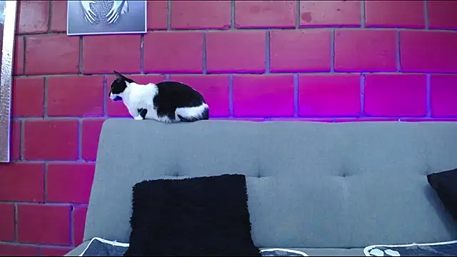 Snapshot of kiara_eyes12 chatting on 02.25.25 kiara eyes12 online show from 02.25.25