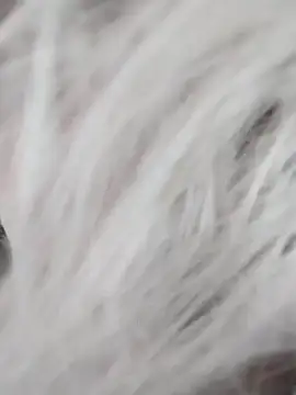 Snapshot of Linda_Gregory chatting on 12.09.24 Linda Gregory online show from 12.09.24