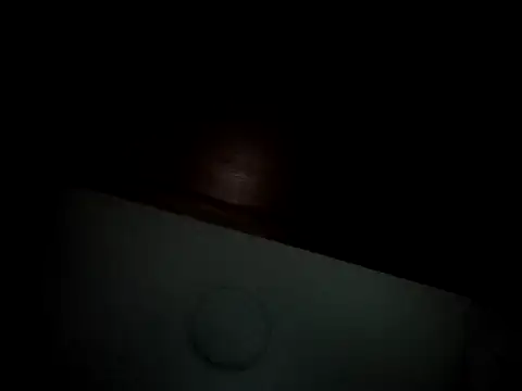 Snapshot of Linda_Gregory chatting on 02.16.25 Linda Gregory online show from 02.16.25