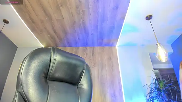 SophiePalmer online show from 01.17.26