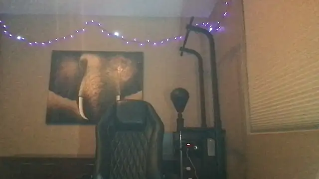 Snapshot of Bwcjoshbanks chatting on 05.18.26 Bwcjoshbanks online show from 05.18.26