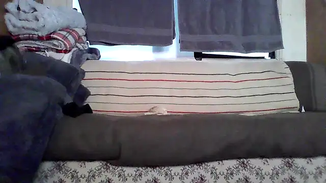 Snapshot of deepstroker42071 chatting on 03.14.26 deepstroker42071 online show from 03.14.26