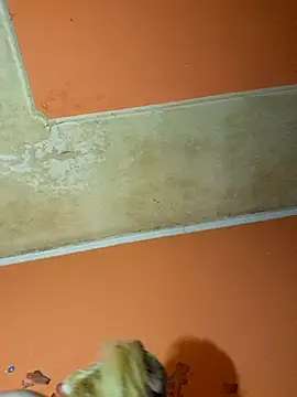 Snapshot of ducicsajsziii chatting on 12.09.24 ducicsajsziii online show from 12.09.24