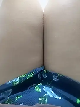 pinaxpack1 online show from 11.02.25