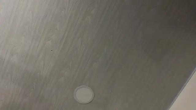 dolly zoe online show from 02.24.26