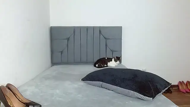 celeste 2023 online show from 01.07.26