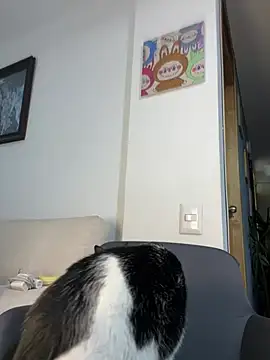 ananya sex1 online show from 03.15.26