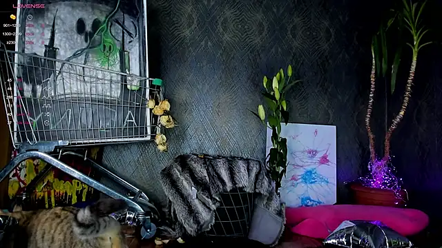 little grinch666 online show from 01.30.25