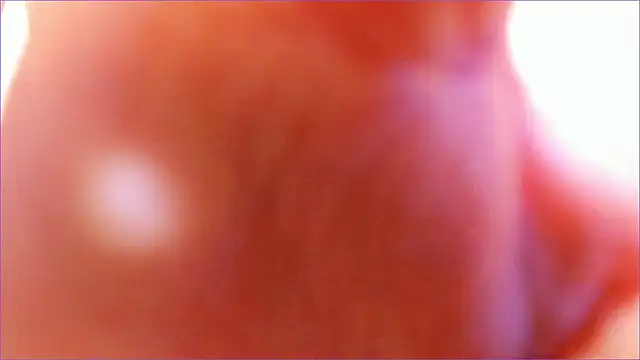 iolantthe online show from 12.13.24