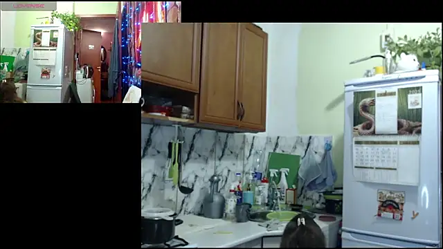 Sakura Green online show from 12.22.25