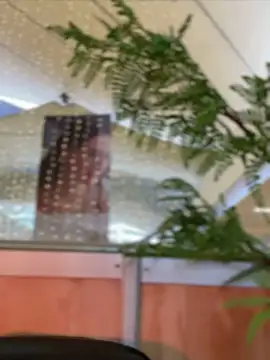 Emilia Bakerr online show from 12.15.24