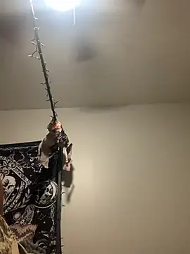 KittyLoroi online show from 11.08.25