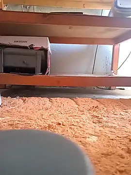 poloplayer123 online show from 02.13.26